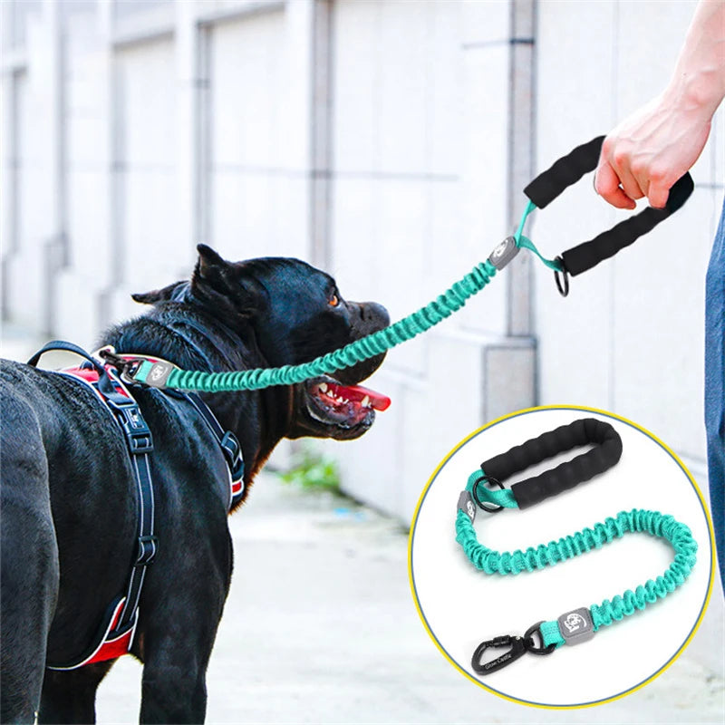 Retractable Elastic Pet Leash,reflective Dog Leash with Foam Handle & Alloy Buckle for Medium Large Pet Dog Walking and Training